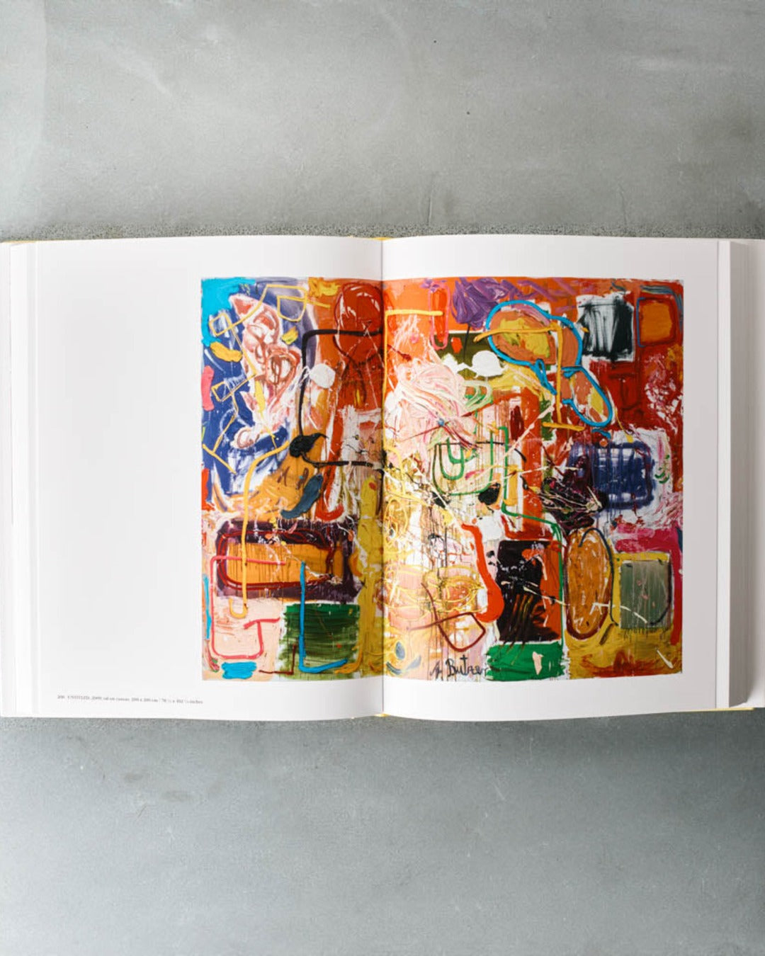 Taschen - Livre André Butzer