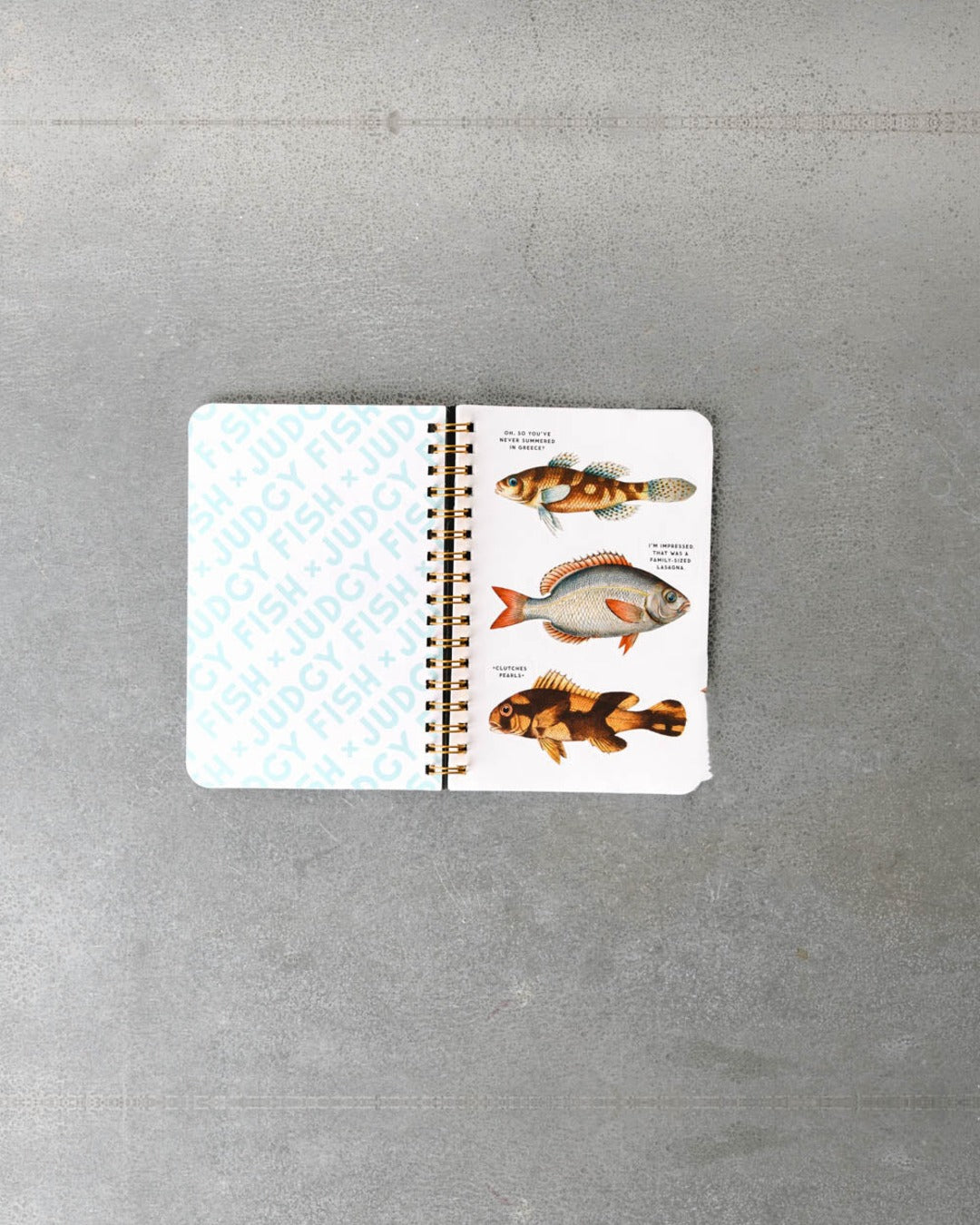 Book - Judgy Fish Sticker Book