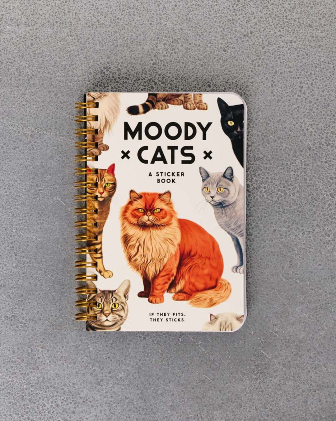 Abrams - Livre Moody Cats Stickers Book