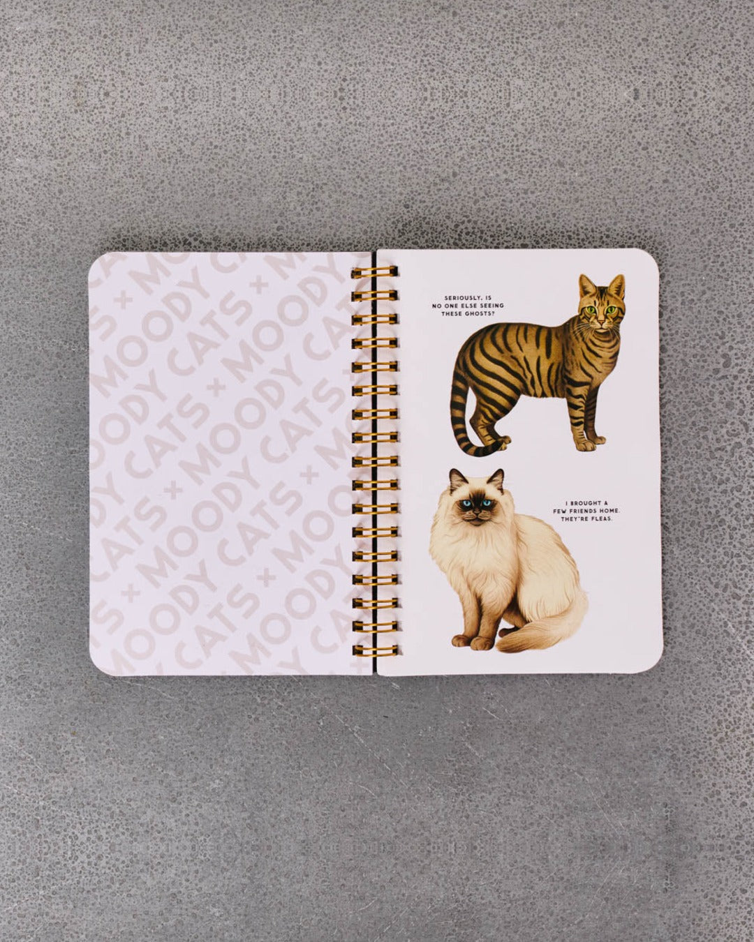 Abrams - Livre Moody Cats Stickers Book
