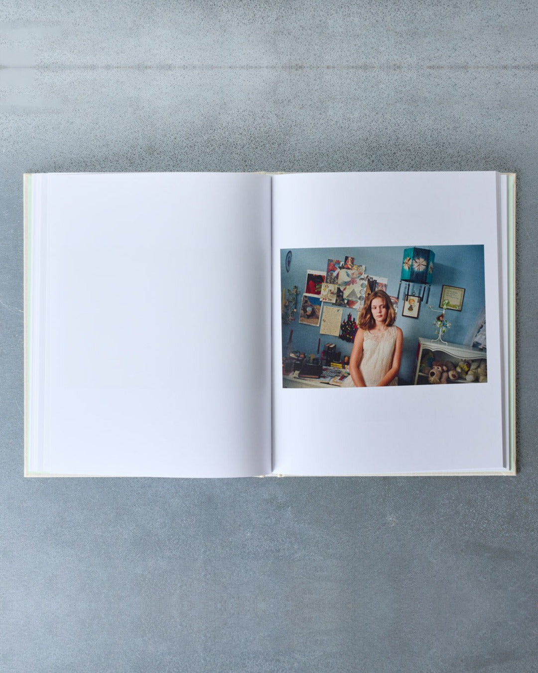 Book - The Virgin Suicides
