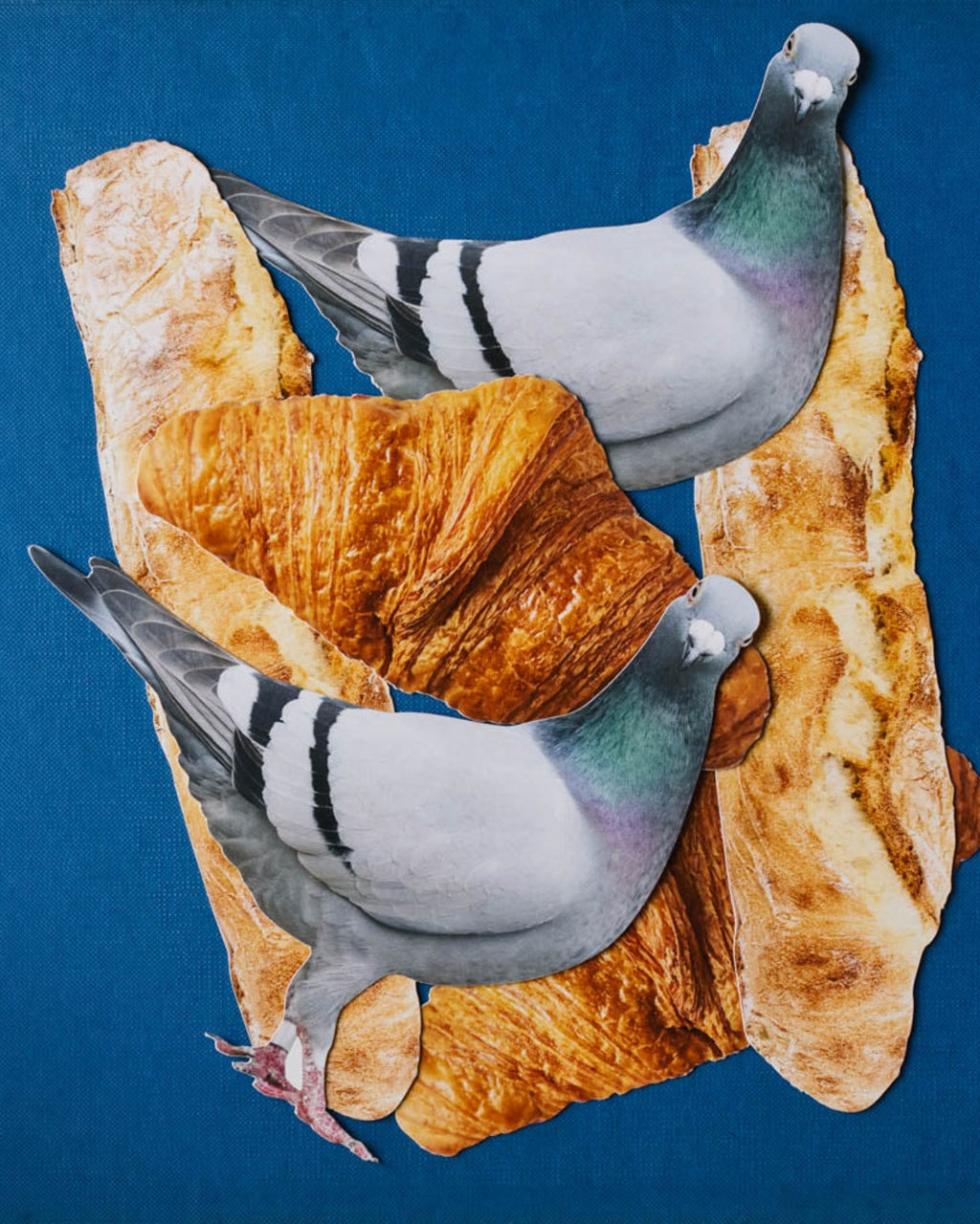 Merci - Carte Postale Pigeon