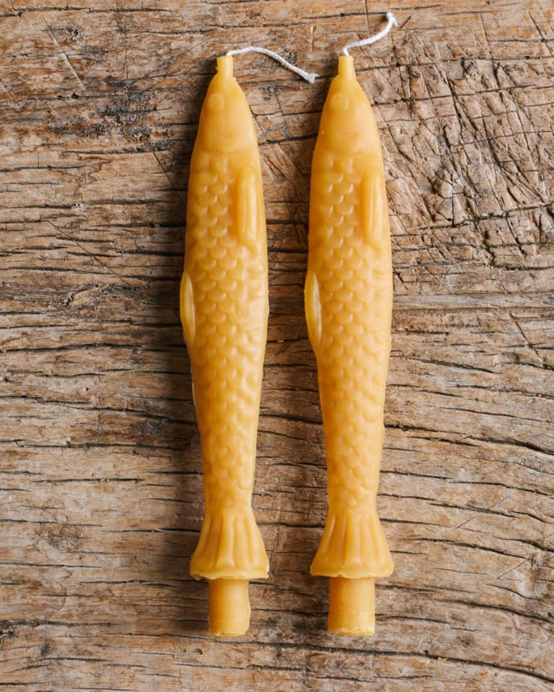 Tinned Candle - Bougie Poisson