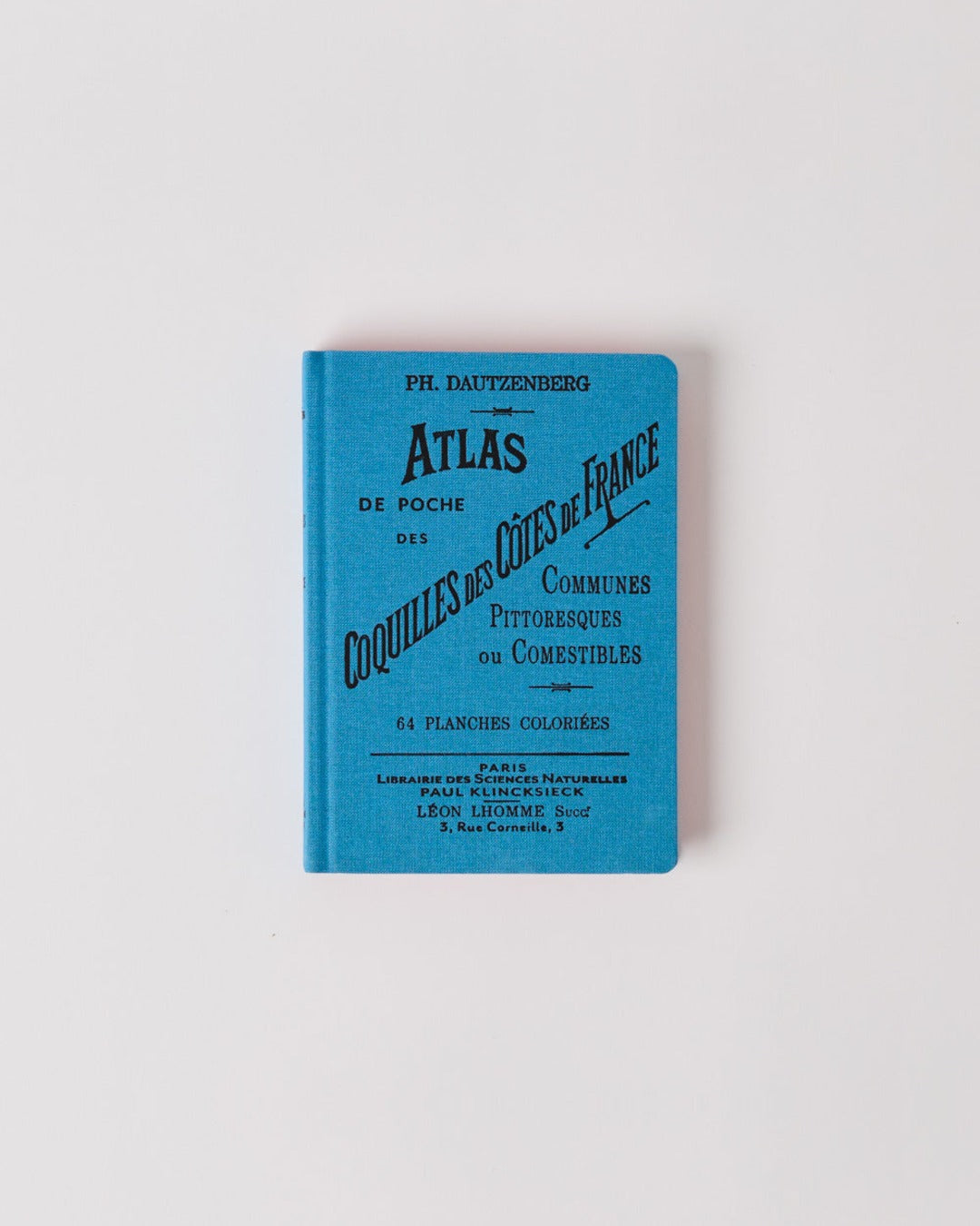 Bibliomane - Atlas Book - Coastal Shells