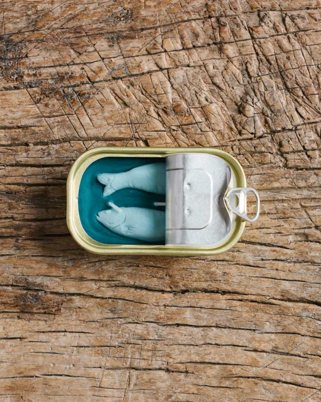 Tinned Candle - Bougie Poisson Juniper