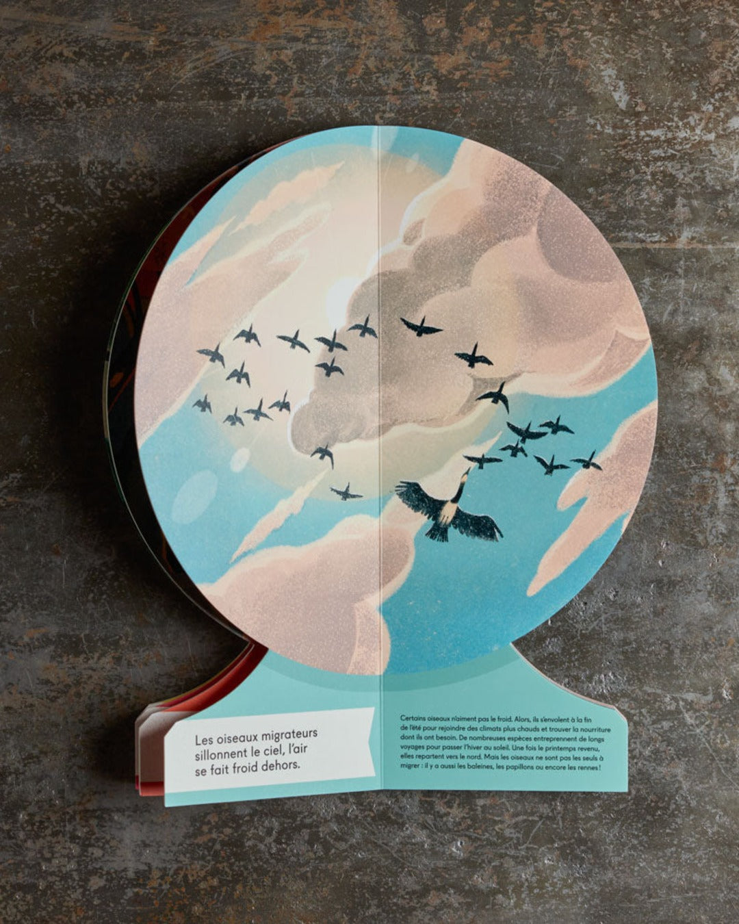 Phaidon Jeunesse - Book - Our Seasons