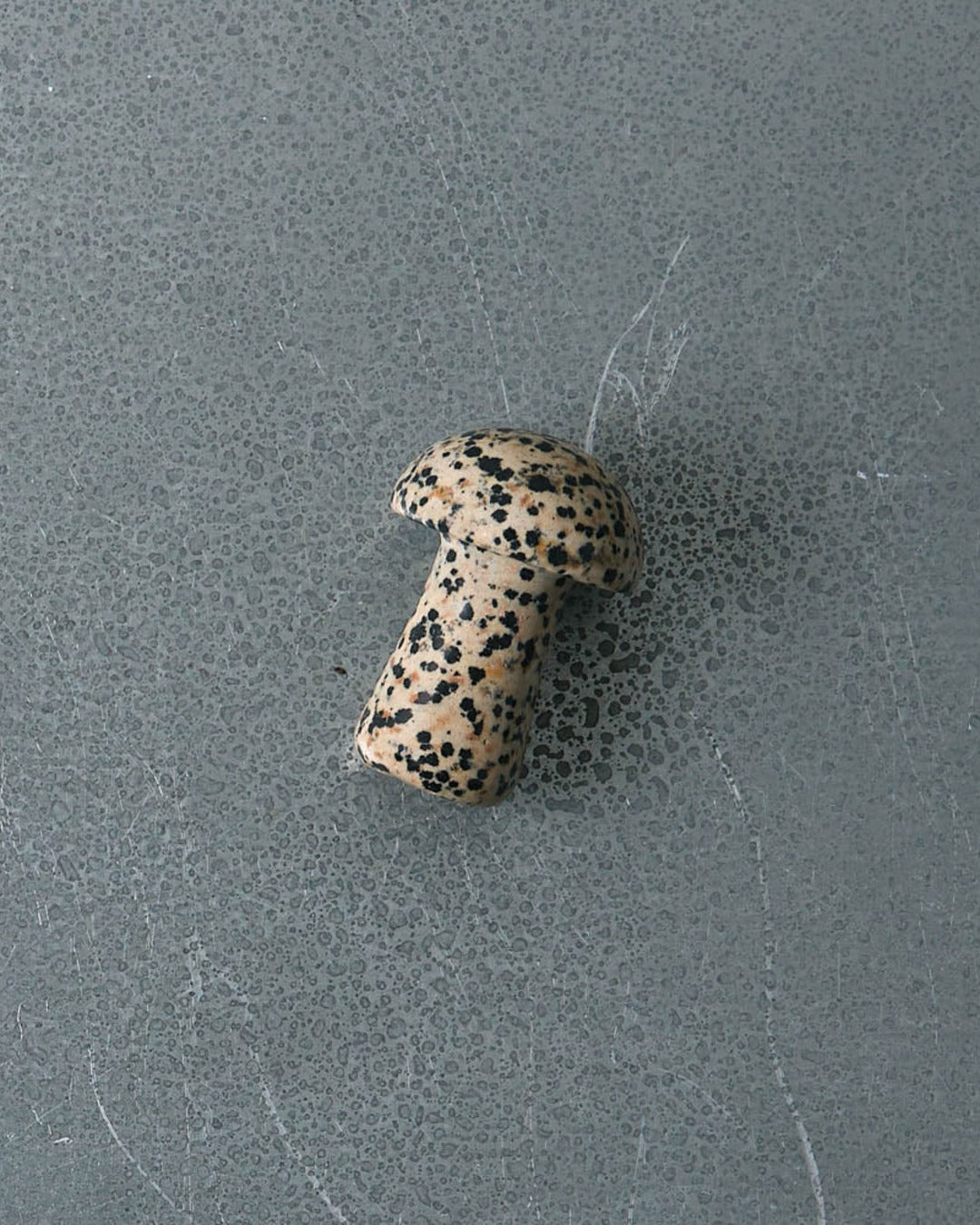 Herbar - Gua Shroom Dalmatian