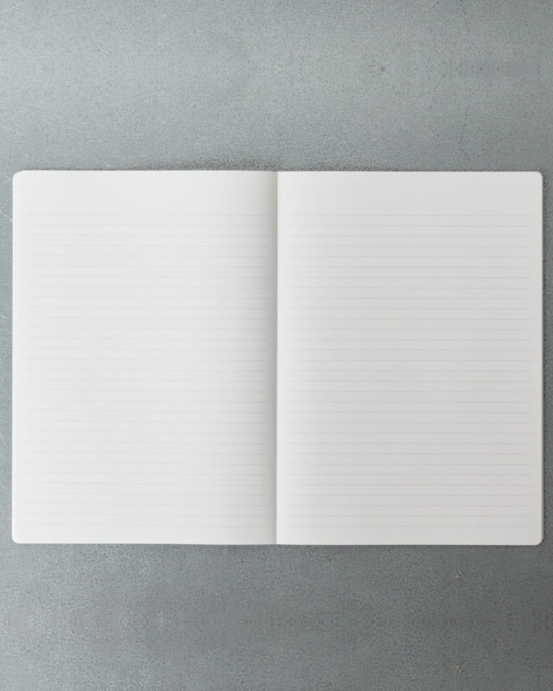 Stálogy - Carnet Standard - Bleu