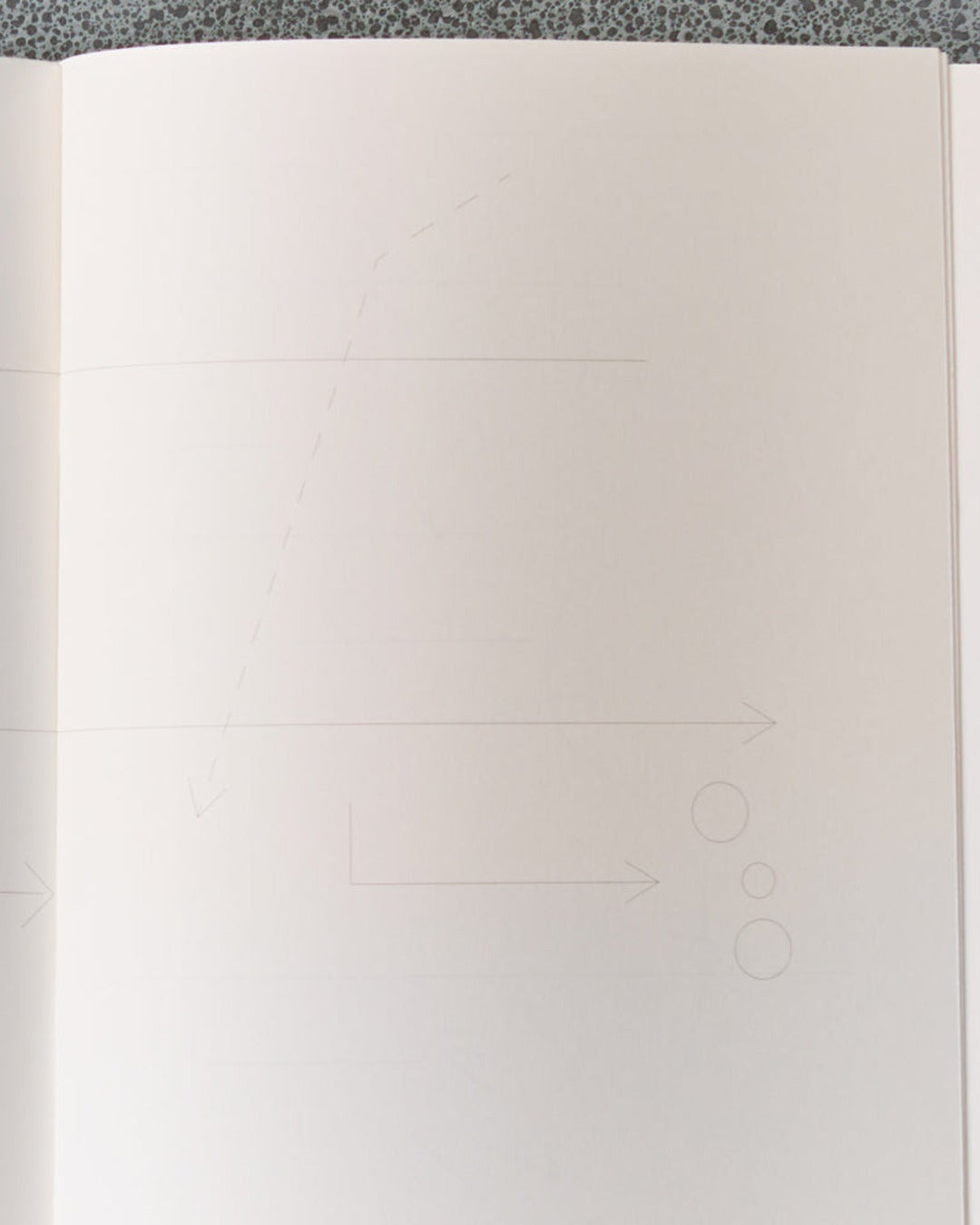 Edition Julie Joliat - Booq Notebook - Blue & Violet