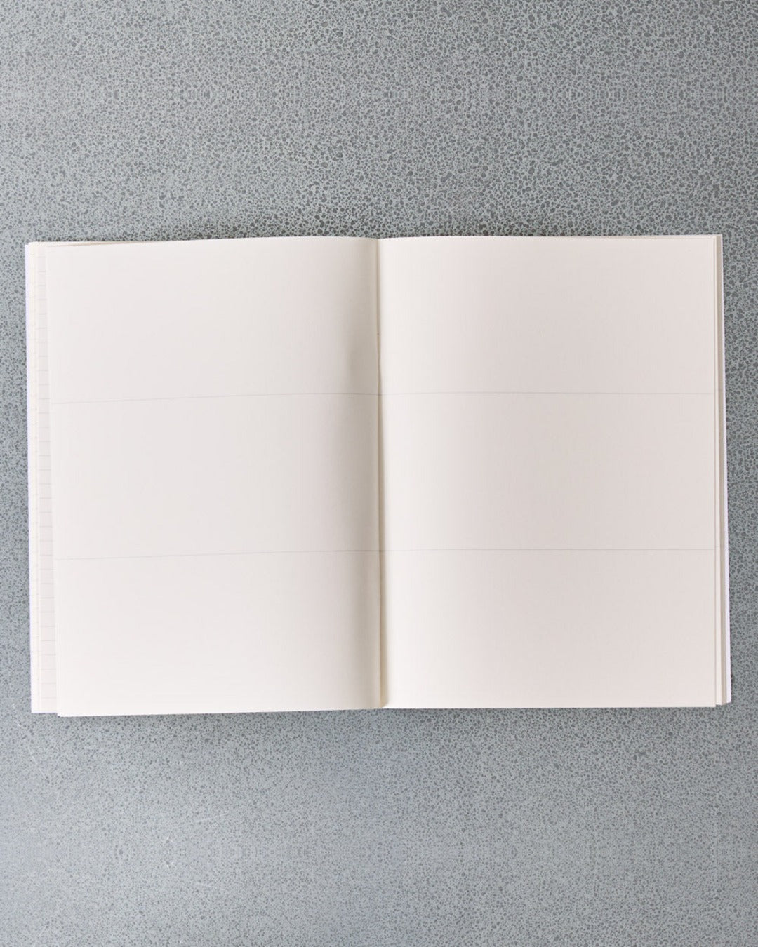 Edition Julie Joliat - Booq Notebook - Yellow & Violet