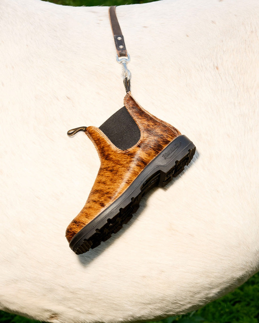 Blundstone - Bottines Chelsea Pop Trading - Pony