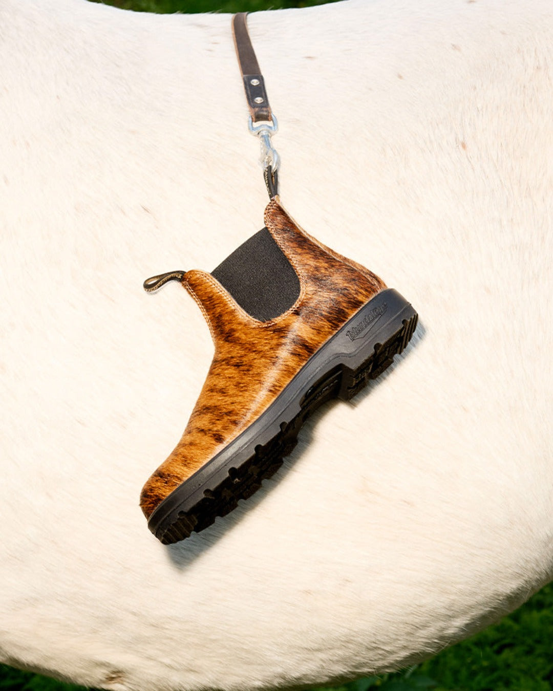 Blundstone - Bottines Chelsea Pop Trading - Pony