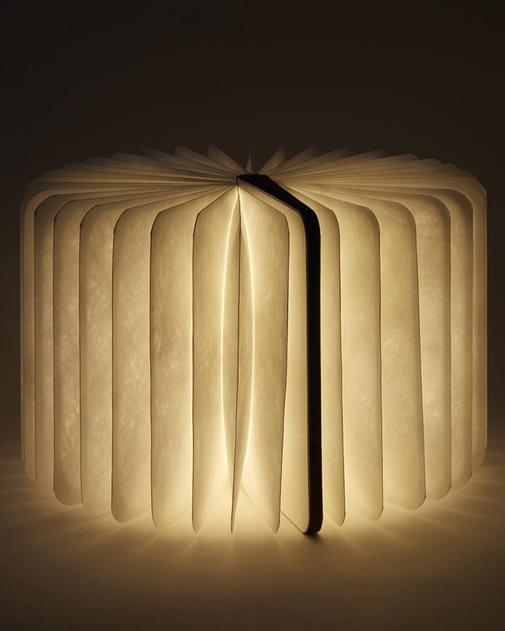 Lumio - White & Wood