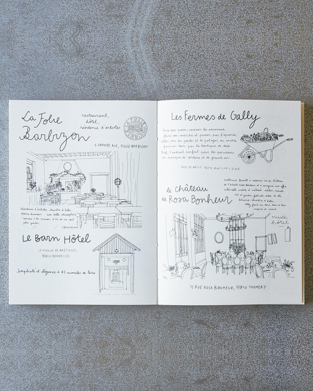 Hachette Editions - Book - Carnet du voyageur France