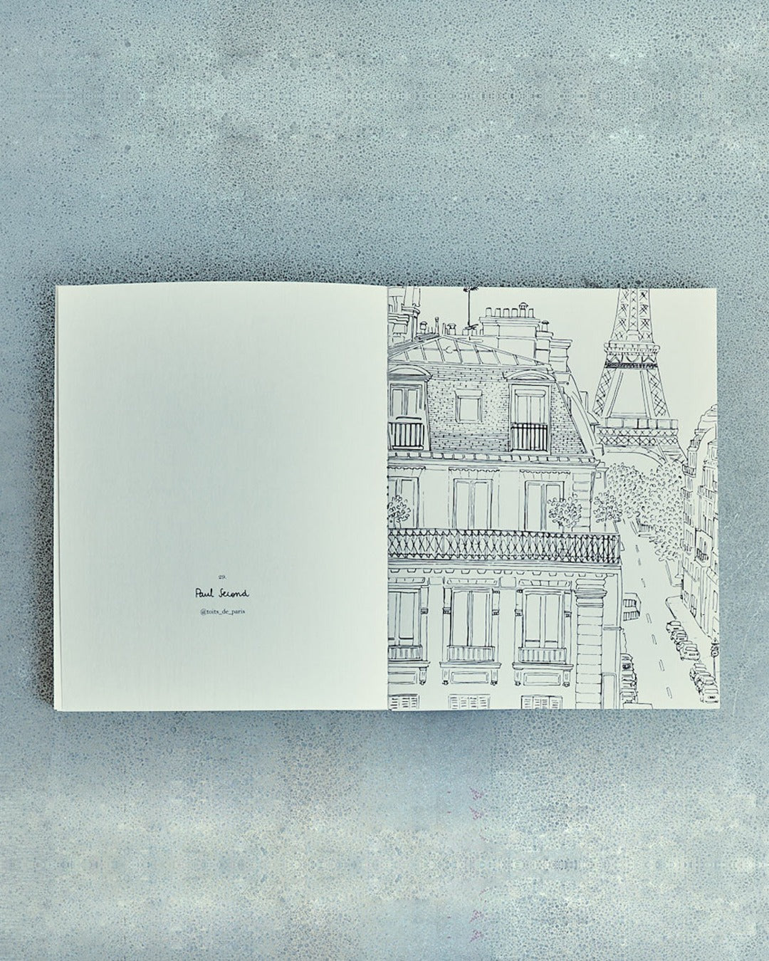 Hachette Editions - Book - Paris by Zoé de las Cases