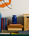 Abing Plus - Mosh stainless steel water bottle - Blue