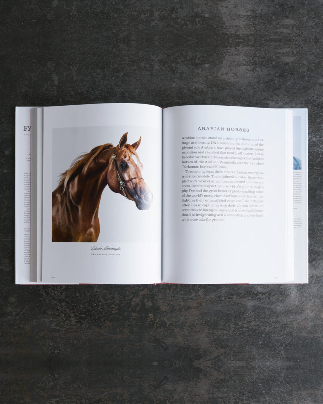Rizzoli - Book - Farm Life