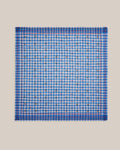 Moismont - Foulard Galopin - Circus